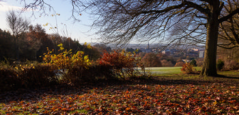 Chesterfield from Tapton park This landscape photograph captures a winter morning view of Chesterfield from Tapton Park in the United Kingdom. The scene features expansive nature with frosted grass covering the park grounds and a layer of fallen autumn leaves beneath bare trees, emphasizing the seasonal transition. The trees frame the image with their branches reaching across the top, and shrubby plants display traces of lingering autumn colours. In the distance, Chesterfield is visible, including the Church of St Mary and All Saints, known locally for its crooked spire, which acts as a prominent landmark in the town’s skyline. The composition highlights the blend of urban and natural environments, demonstrating how the park and its trees provide scenic views of Chesterfield on a cold, frosty winter morning.